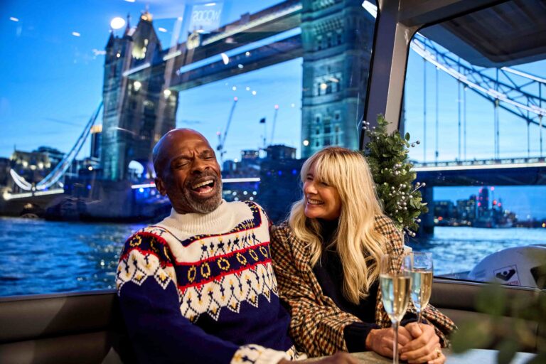 Festive River Thames cruise with views of Tower Bridge