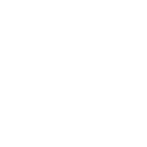 Icon representing electricity powered boat
